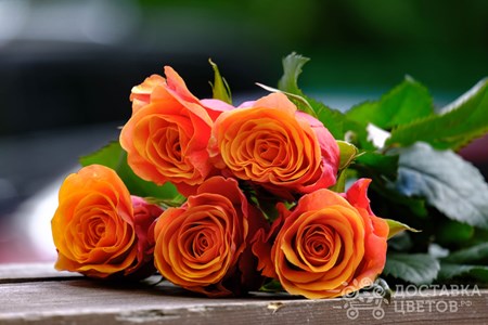 Букет из 5 оранжевых роз "Испания"